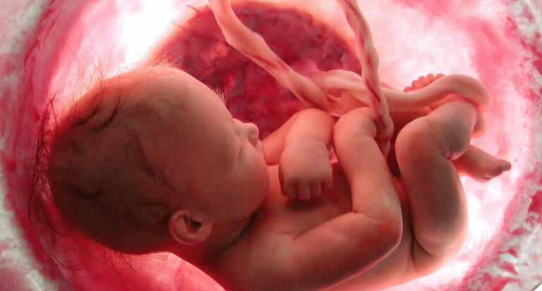 Somos os primeiros de uma nova espécie social.